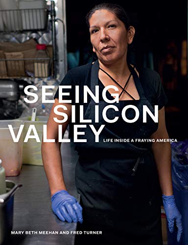 Book Seeing Silicon Valley: Life inside a Fraying America free