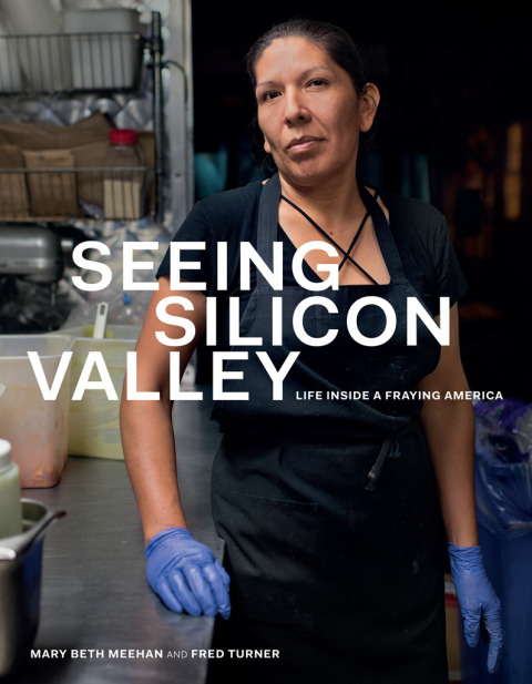 Book Seeing Silicon Valley free