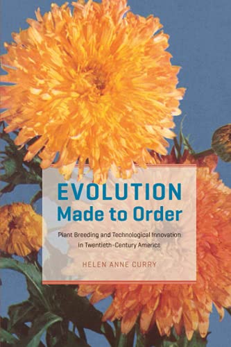 Book Evolution Made to Order: Plant Breeding and Technological Innovation in Twentieth-Century America free