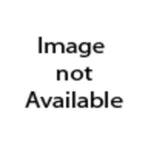 Book Education and the Human Quest; Four Designs for Education (Phoenix Book) free