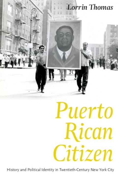 Book Puerto Rican Citizen: History and Political Identity in Twentieth-Century New York City (Historical Studies of Urban America) free