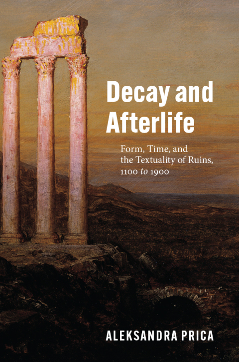 Book Decay and Afterlife free