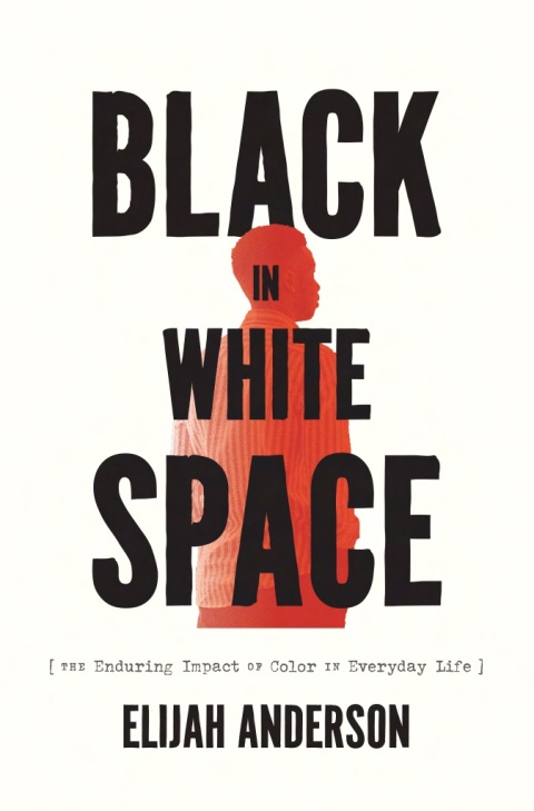 Book Black in White Space: The Enduring Impact of Color in Everyday Life free