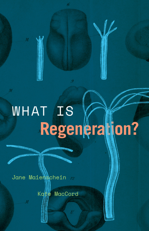 Book What Is Regeneration? (Convening Science: Discovery at the Marine Biological Laboratory) free