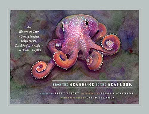 Book From the Seashore to the Seafloor: An Illustrated Tour of Sandy Beaches, Kelp Forests, Coral Reefs, and Life in the Ocean's Depths free