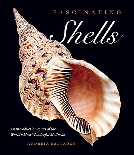 Book Fascinating Shells: An Introduction to 121 of the World’s Most Wonderful Mollusks free