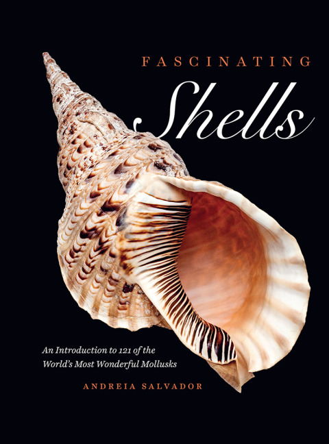 Book Fascinating Shells free