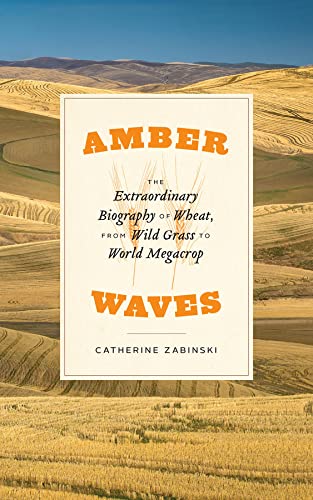 Book Amber Waves: The Extraordinary Biography of Wheat, from Wild Grass to World Megacrop free