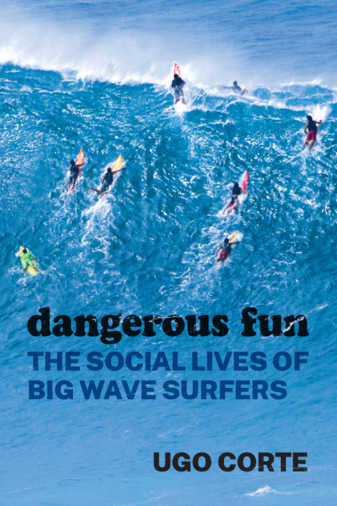 Book Dangerous Fun: The Social Lives of Big Wave Surfers free