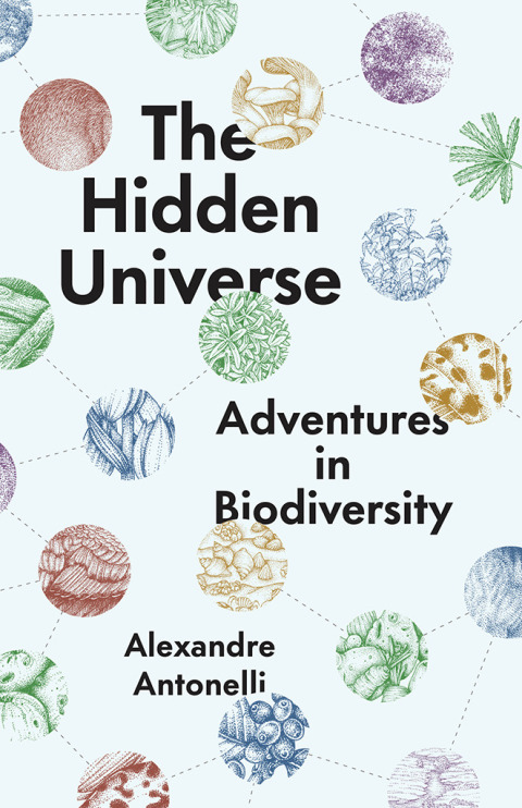 Book The Hidden Universe free