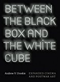 Book Between the Black Box and the White Cube: Expanded Cinema and Postwar Art free