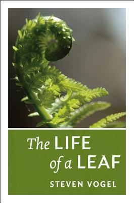 Book The Life of a Leaf free