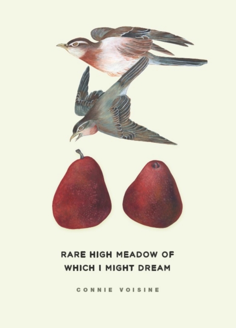 Book Rare High Meadow of Which I Might Dream free