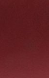 Book The Odyssey of Ibn Battuta: Uncommon Tales of a Medieval Adventurer free