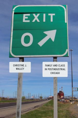 Book Exit Zero: Family and Class in Postindustrial Chicago free