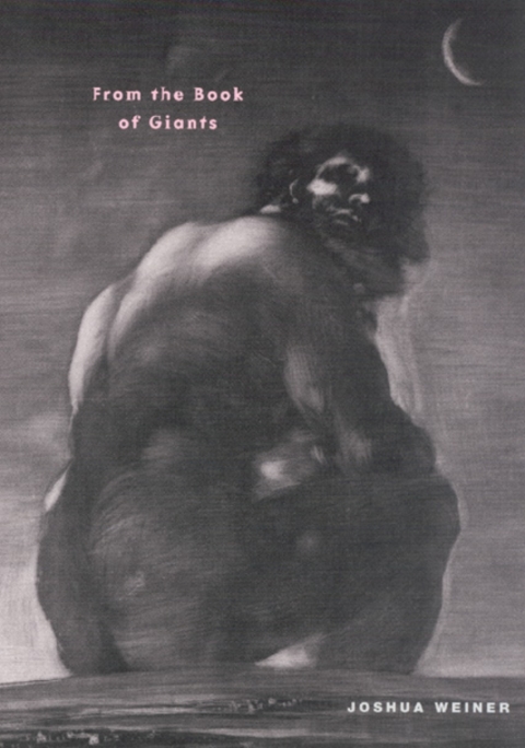 Book From the Book of Giants (Phoenix Poets) free