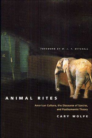 Book Animal Rites: American Culture, the Discourse of Species, and Posthumanist Theory free