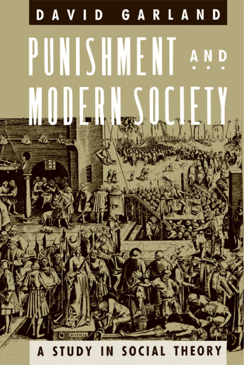 Book Punishment and Modern Society: A Study in Social Theory (Studies in Crime and Justice) free