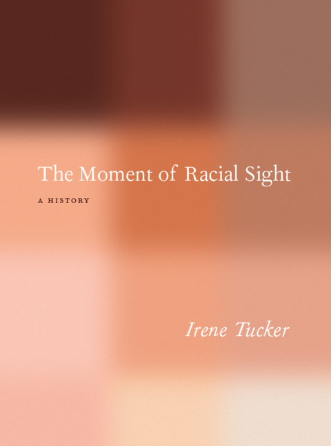 Book The Moment of Racial Sight: A History free