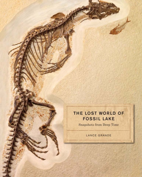 Book The Lost World of Fossil Lake free