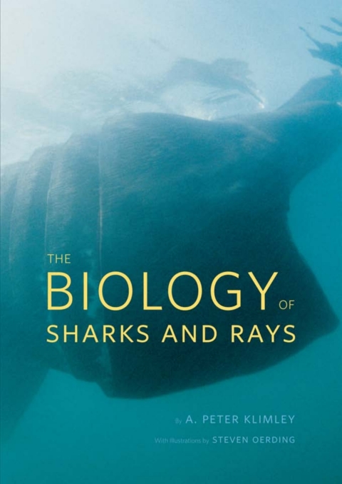 Book The Biology of Sharks and Rays free
