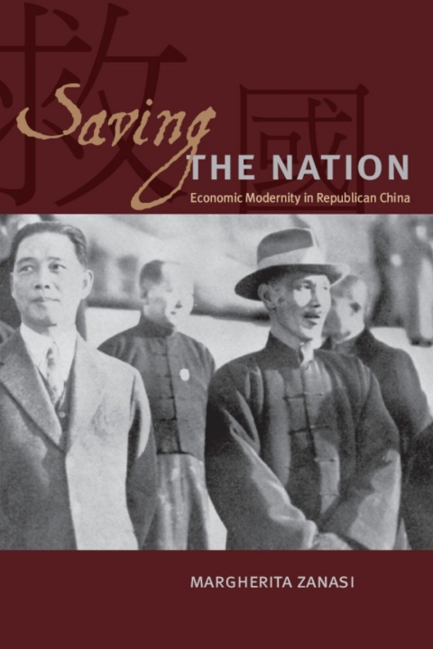 Book Saving the Nation free