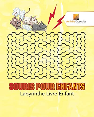 Book Souris Pour Enfants : Labyrinthe Livre Enfant (French Edition) free