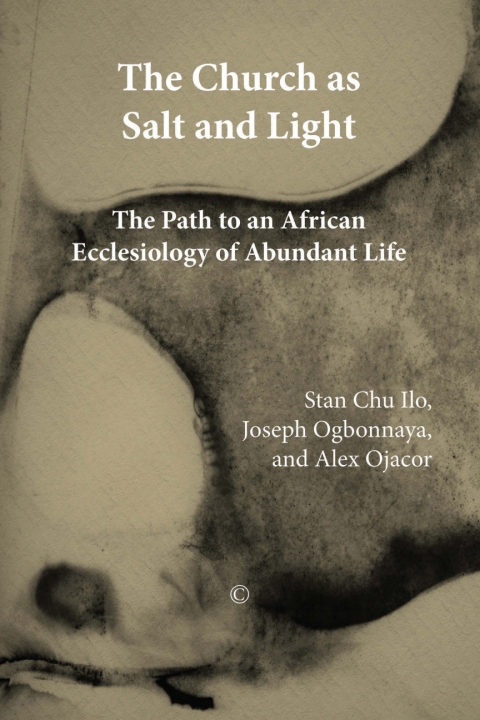 Book The Church as Salt and Light free