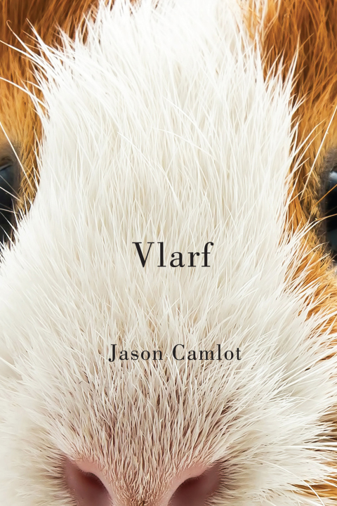 Book Vlarf free