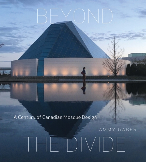 Book Beyond the Divide free