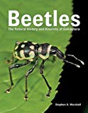 Book Beetles: The Natural History and Diversity of Coleoptera free
