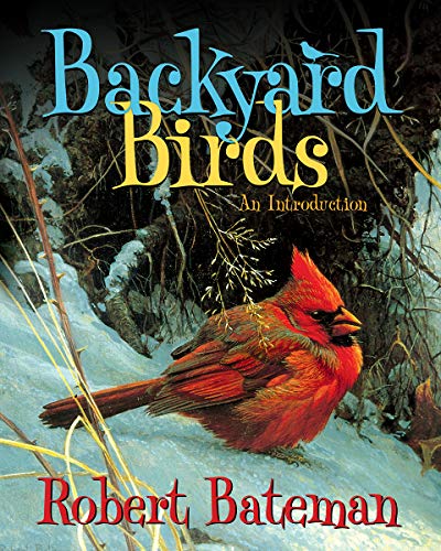 Book Backyard Birds: An Introduction free