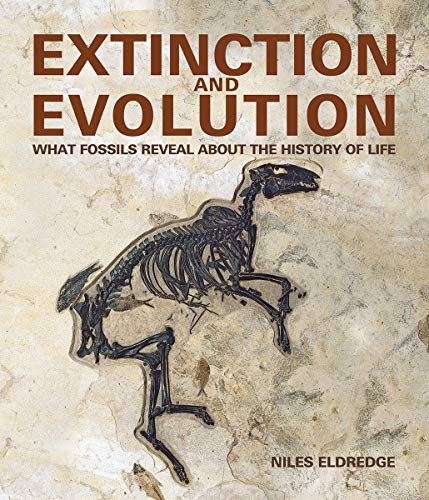 Book Extinction and Evolution: What Fossils Reveal About the History of Life free