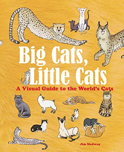 Book Big Cats, Little Cats: A Visual Guide to the World's Cats (Big and Little) free