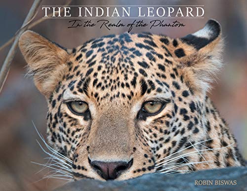 Book The Indian Leopard: In the Realm of the Phantom free