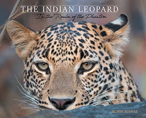 Book The Indian Leopard: In the Realm of the Phantom free