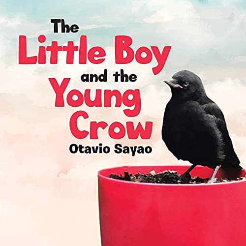 Book The Little Boy and the Young Crow free