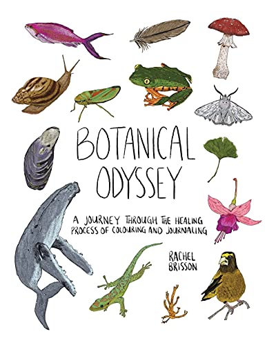 Book Botanical Odyssey: A Journey Through the Healing Process of Colouring and Journaling free