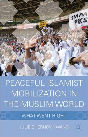 Book Peaceful Islamist Mobilization in the Muslim World: What Went Right free