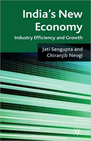 Book India's New Economy: Industry Efficiency and Growth free