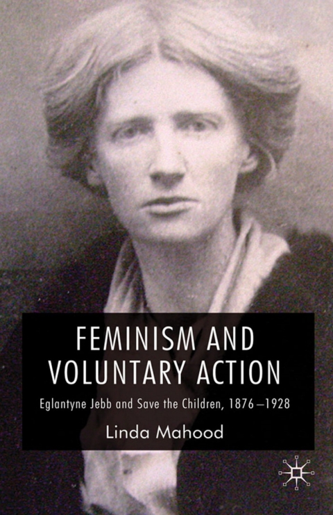 Book Feminism and Voluntary Action free