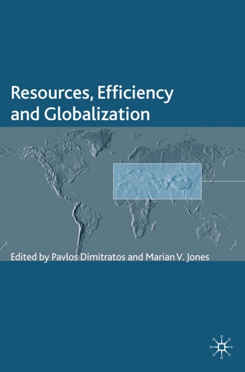 Book Resources, Efficiency and Globalization (The Academy of International Business) free
