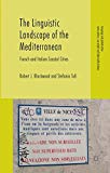 Book The Linguistic Landscape of the Mediterranean: French and Italian Coastal Cities (Language and Globalization) free