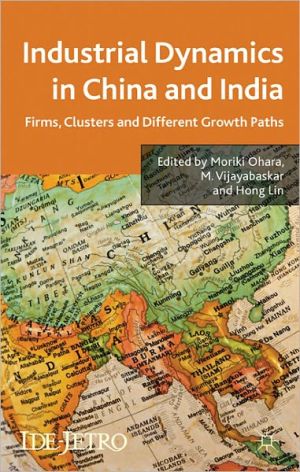 Book Industrial Dynamics in China and India: Firms, Clusters, and Different Growth Paths (IDE-JETRO Series) free