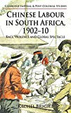 Book Chinese Labour in South Africa, 1902-10: Race, Violence, and Global Spectacle (Cambridge Imperial and Post-Colonial Studies) free