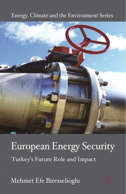 Book European Energy Security: Turkey's Future Role and Impact (Energy, Climate and the Environment) free