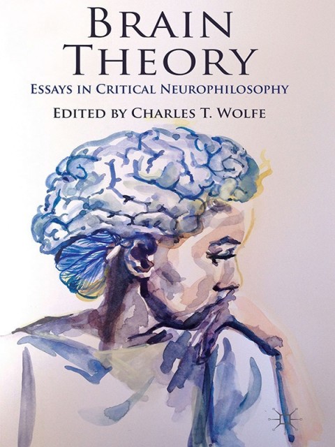 Book Brain Theory free
