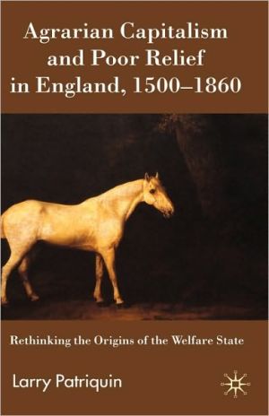 Book Agrarian Capitalism and Poor Relief in England, 1500-1860: Rethinking the Origins of the Welfare State free