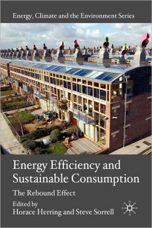 Book Energy Efficiency and Sustainable Consumption: The Rebound Effect (Energy, Climate and the Environment) free