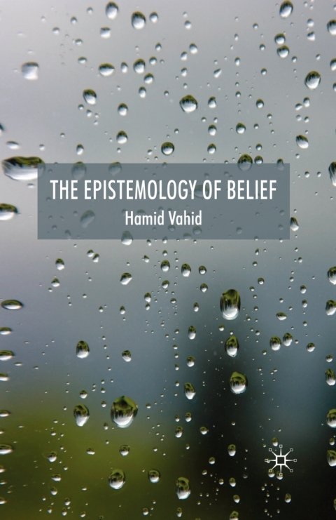 Book The Epistemology of Belief free